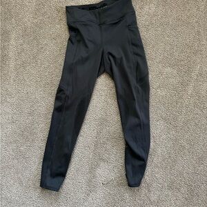 English equestrian winter riding tights